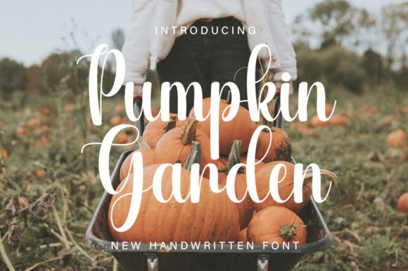 Pumpkin Garden Font: Friendly Handwritten Type for Small Business Branding
