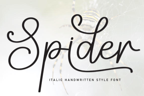 Spider: A Handwritten Font That Feels Like a Quiet Conversation